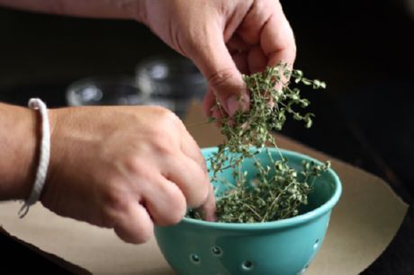 Ramuan kering (basil dan oregano)