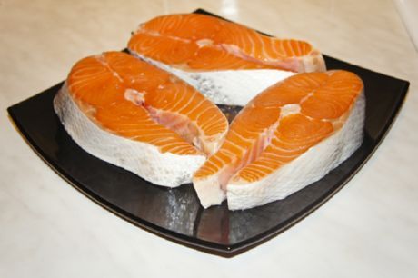 Salmon