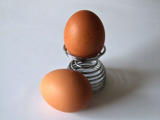 Kekurangan dari diet telur