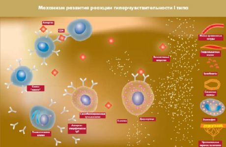 Membuka protein, yang akan menjadi target baru diabetes