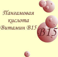 Informasi umum tentang vitamin B15