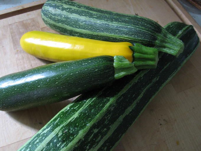 Zucchini.  20 kkal / 100 g.